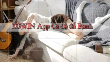 333win app cá độ đá banh