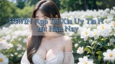 333win app tài xỉu uy tín nhất hiện nay