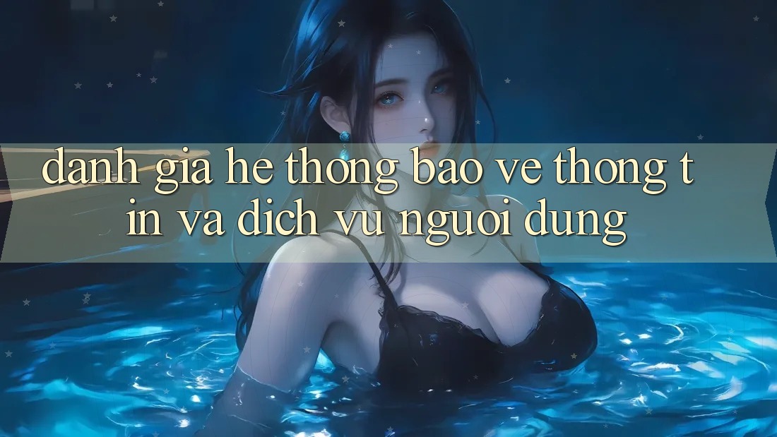 Đánh Giá Hệ Thống Bảo vệ thông tin Và Dịch Vụ Người dùng