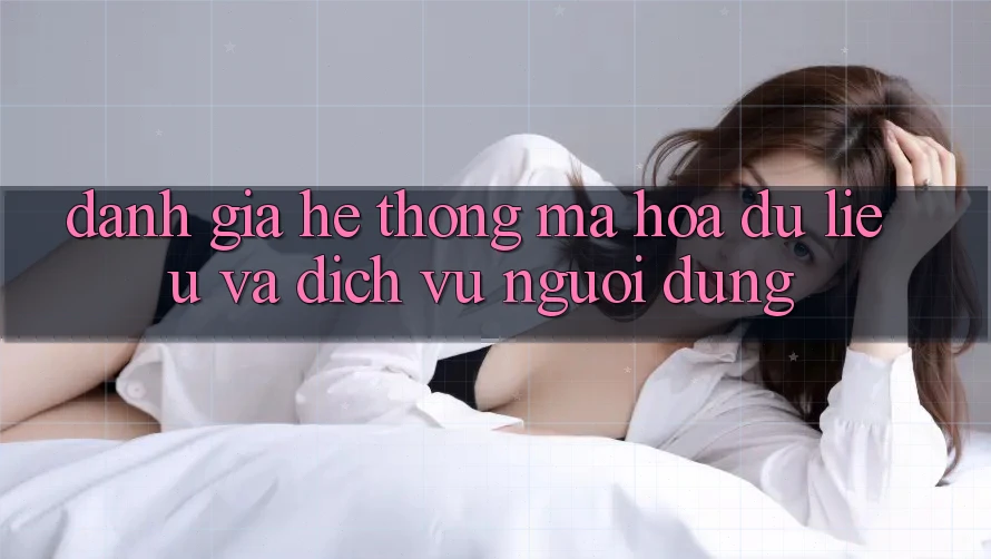 Đánh Giá Hệ Thống Mã hóa dữ liệu Và Dịch Vụ Người dùng