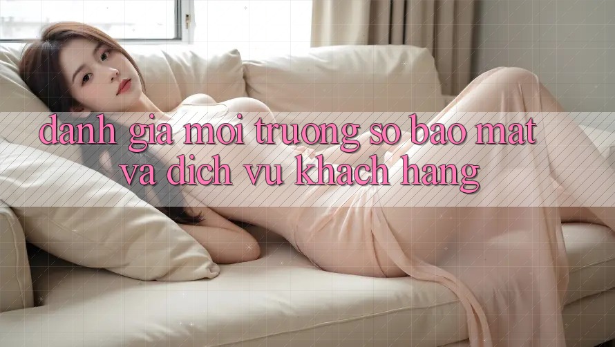 Đánh Giá Môi trường số Bảo Mật Và Dịch Vụ Khách Hàng
