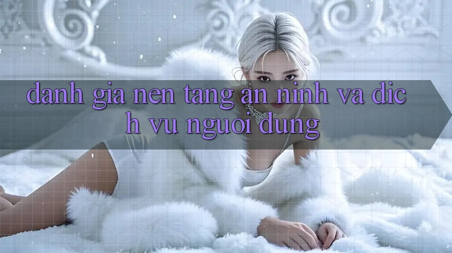 Đánh Giá Nền tảng An ninh Và Dịch Vụ Người dùng
