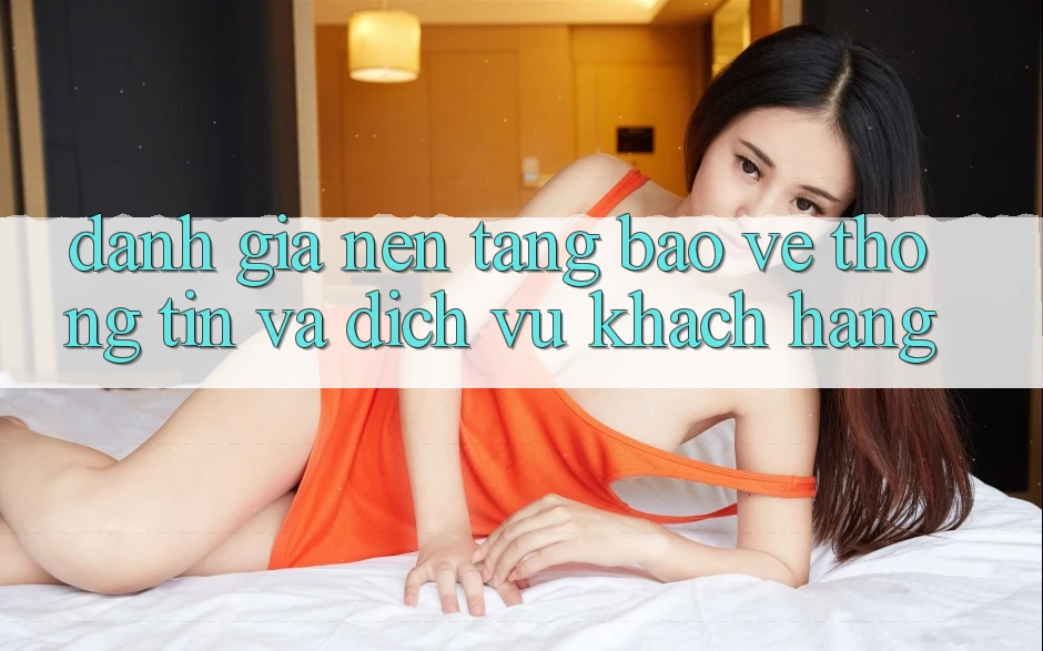 Đánh Giá Nền tảng Bảo vệ thông tin Và Dịch Vụ Khách Hàng
