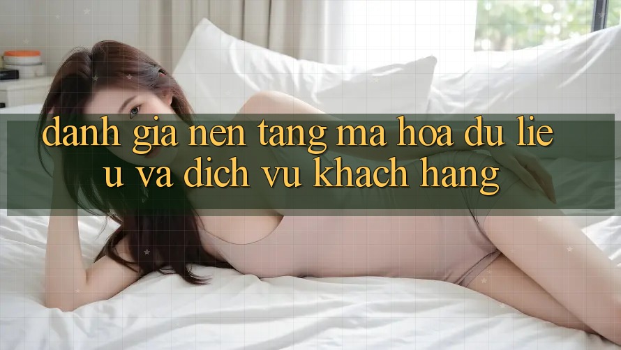 Đánh Giá Nền tảng Mã hóa dữ liệu Và Dịch Vụ Khách Hàng