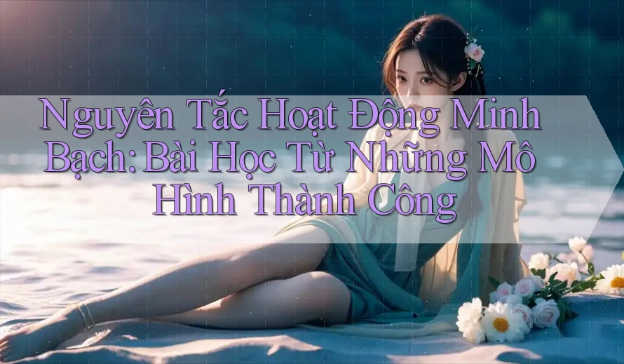 Nguyên Tắc Hoạt Động Minh Bạch: Bài Học Từ Những Mô Hình Thành Công