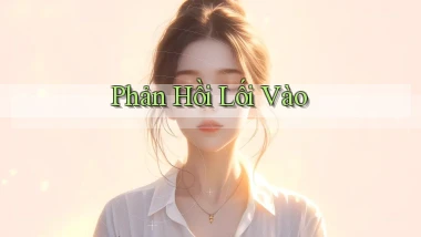Phản hồi Lối vào